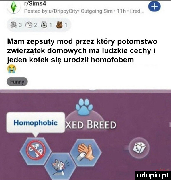 r scms  posxed by u anpycny omgomg sun hh l md      .   mam zepsuty mod przez który potomstwo zwierzątek domowych ma ludzkie cechy i jeden kotek się urodził homofobem x homophobic ład bleed