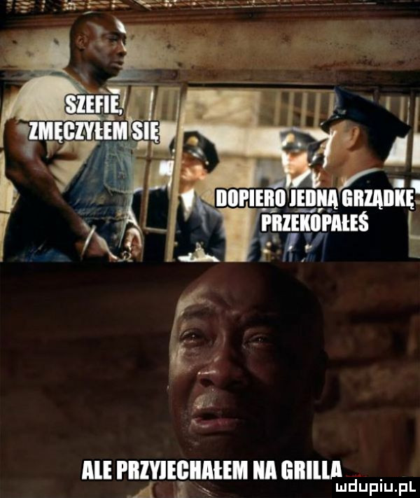 iii pieyieęiiiiem iii gllllll d. a lu upiu pl