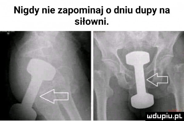 nigdy nie zapominaj o dniu dupy na siłowni. h. i.   l mdupiupl