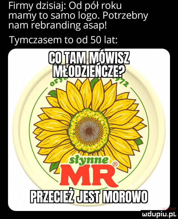 firmy dzisiaj od pół roku mamy to samo logo. potrzebny nam rebranding asap tymczasem to od    lat manganu eee