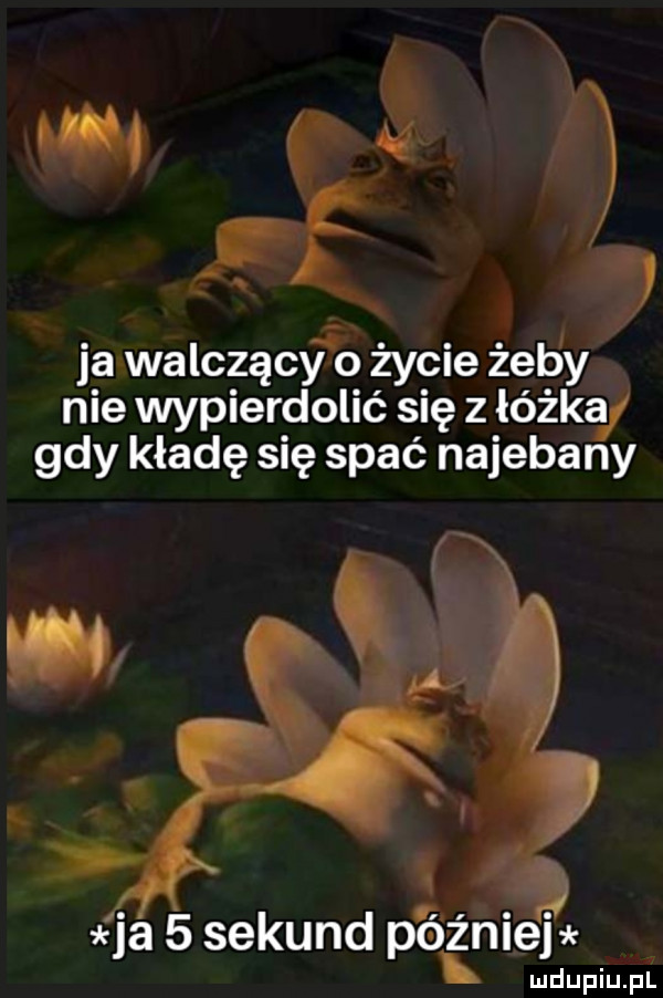 jar walczącfó życie żab y nie wypierdolić się z łóżka gdy kładę się spać najebany ja   sekund p ó źniej ludupiu. pl