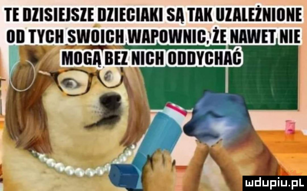 te illlsielsle illiegiaki sa tak lllależnillne   tygli sw iilgh wlpownig że nawet nie