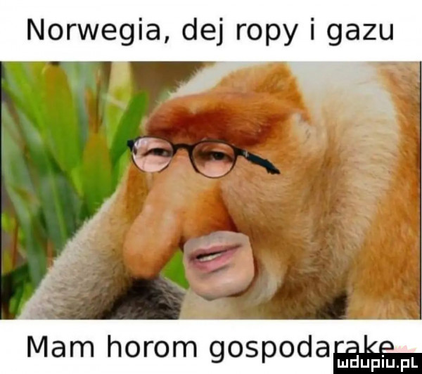 norwegia dej ropy i gazu mam horom gospoda mdﬁpiupl