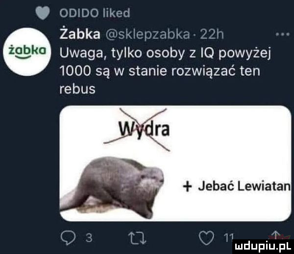 ham żabka   w uwaga tylko osoby   io powyżej      są w stanie rozwiązać ten rebus w n