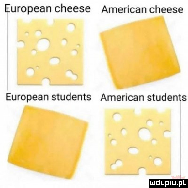 european cheese american cheese european students american students