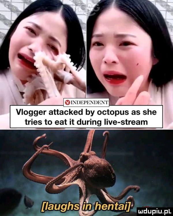 m   i iu j vlogger attacked by octopus as sie trias to edt it during live stream