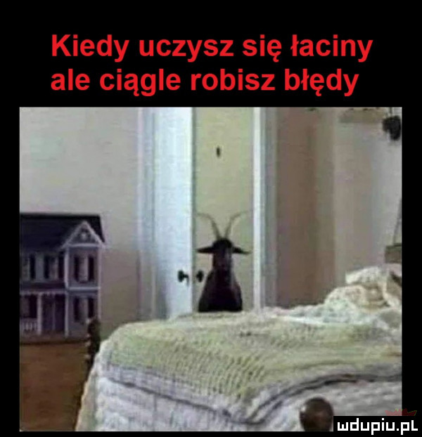 kiedy uczysz się łaciny ale ciągle robisz błędy
