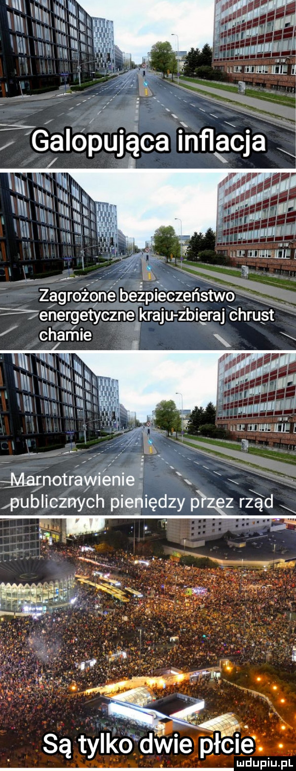są tylko dwie płcie. ludupiu. pl