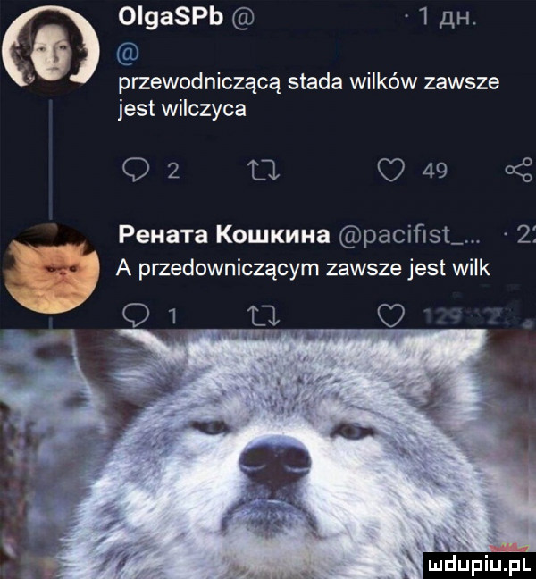 oigaspb.   clh.   przewodniczącą stada wilków zawsze jest wilczyca o   u q      pena ra komxuua paciﬁst.   v. abakankami   a przedowniczącym zawszejest wilk o   u