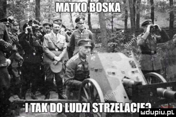 i ll ll llllll stiiieligiﬁdumegl