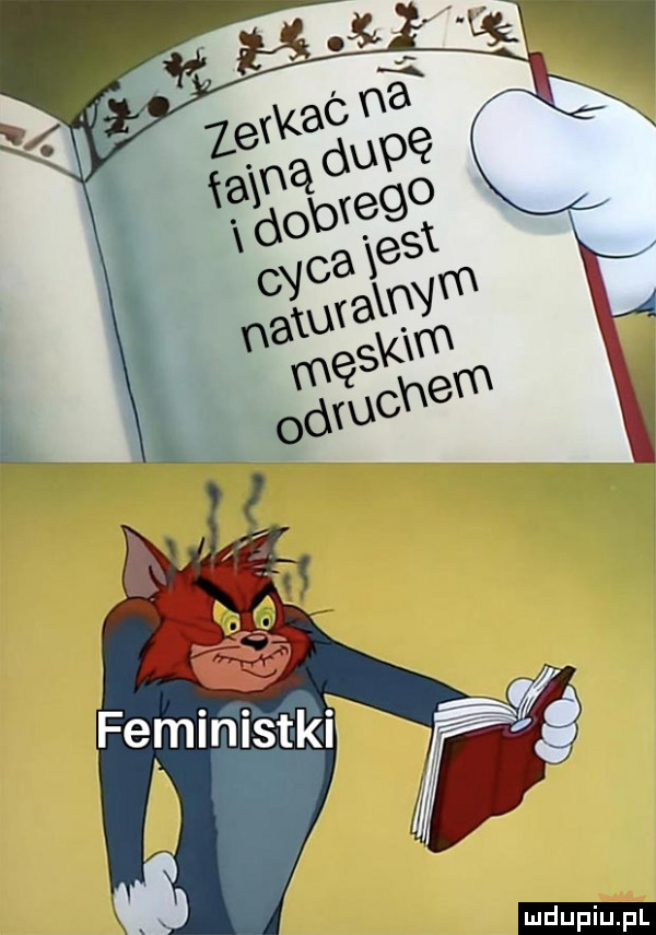 upiu pl