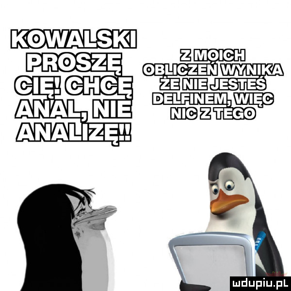 kowalak emm pras zę  me elgzehee mm n al nie a w analizęl rose