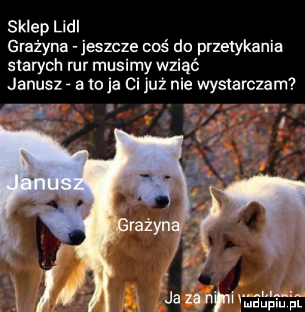 sklep lidl grażyna jeszcze coś do przetykania starych rur musimy wziąć janusz a to ja ci już nie wystarczam ja za n ni mag