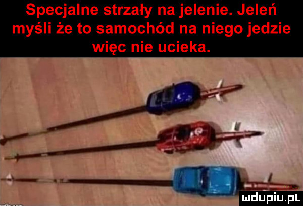 specjalne strzały na jelenie. jeleń myśli że to samochód na niego jedzie więc nie ucieka