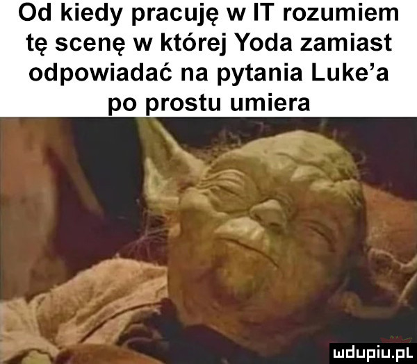 od kiedy pracuję w it rozumiem tę scenę w której yoda zamiast odpowiadać na pytania luke a po prestu umiera