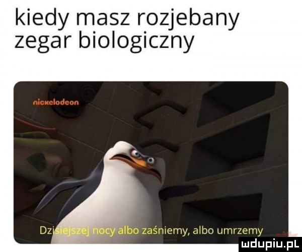 kiedy masz rozjebany zegar biologiczny j  o it miniemy aibo umrzemy