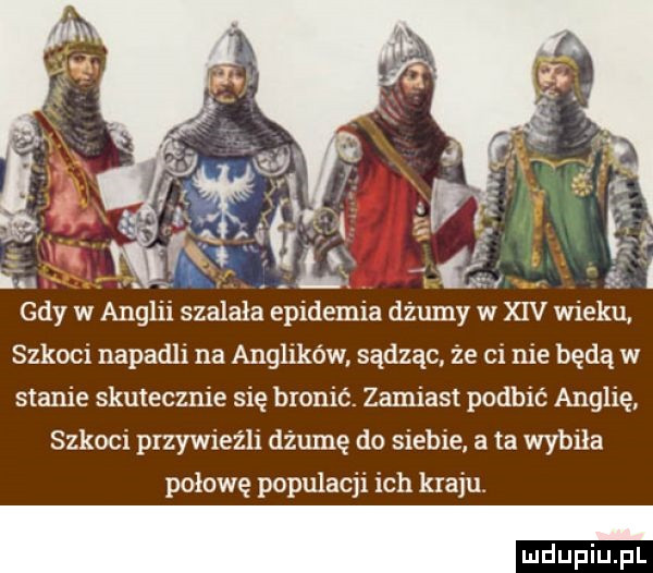 lu. gdy w anglii szalała epidemia dżumy w xiv wieku szkoci napadli na anglików sądząc że ci nie będą w stanie skutecznie się bronić zamiast podbić anglię szkoci przywieźli dżumę do siebie. a ta wybiła połowę populacji ich kraju