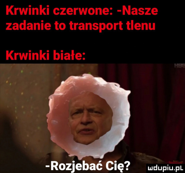 krwinki czerwone nasze zadanie to transport tlenu k ruinki białe rozjebać cię