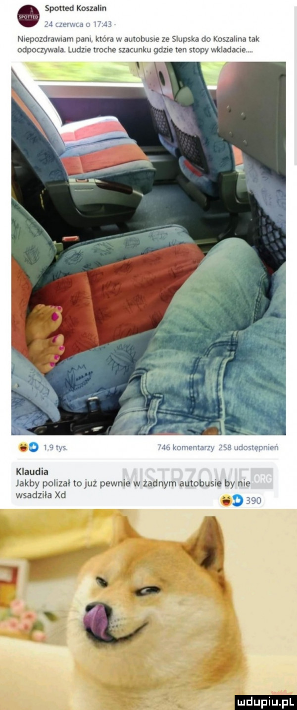 o spotted koszalin nxepozdvawlam pam kwora w aulobuswe ze slupska do koszalina ak odpoczywam ludowe nocne szacunku gdzie ren slupy wkladacle klaudia jakby pohzał ojuz pewnie w zadnym autobusie by me wsadziła xd. mdupiujil