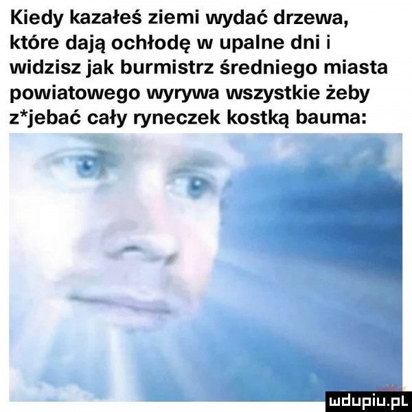 kiedy kazałeś ziemi wydać drzewa które dają ochłodę w upalne dni i widzisz jak burmistrz średniego miasta powiatowego wyrywa wszystkie żeby z jebać cały ryneczek kostką bluma ludu iu. l