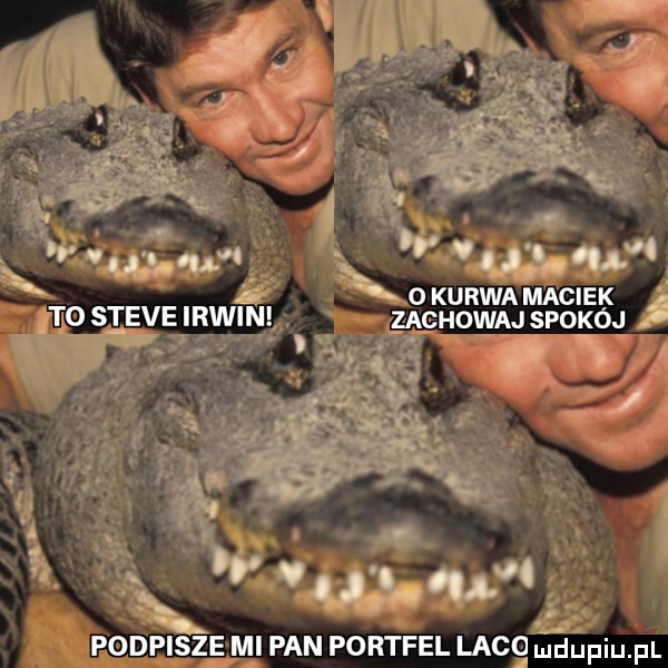 if o kurwa maciek to steve irmin zachowaj spokój v.   .  . r u x a. abakankami p upisze mi pan portfel lico