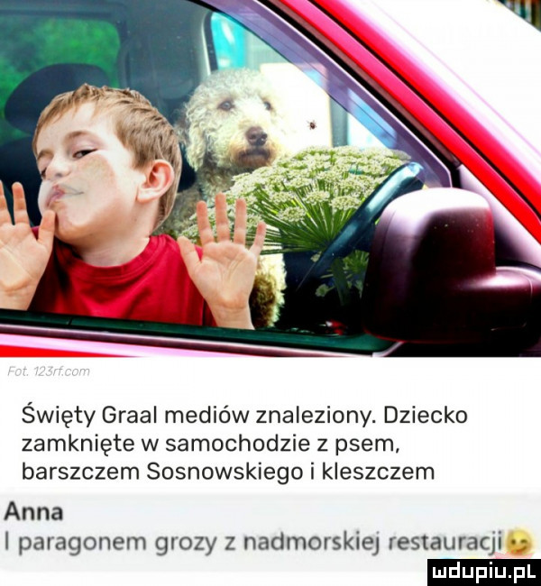 święty graal mediów znaleziony. dziecko zamknięte w samochodzie z psem barszczem sosnowskiego i kleszczem anna i paragonem grozy z nadmorskiej restauracji ludu iu. l