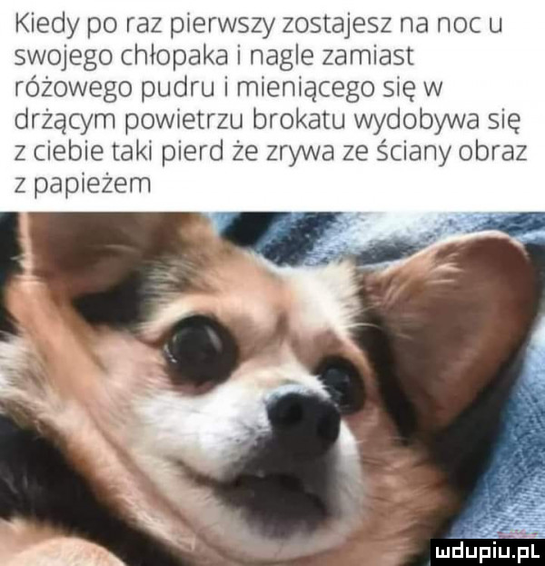 kiedy po raz pierwszy zostajesz na noc u swojego chłopaka i nagle zamiast różowego pudru i mieniącego sie w drżącym powietrzu brokatu wydobywa się z ciebie taki pierd że zrywa ze ściany obraz z papieżem