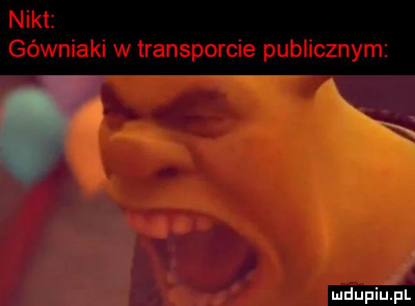 nikt górniaki w transporcie publicznym