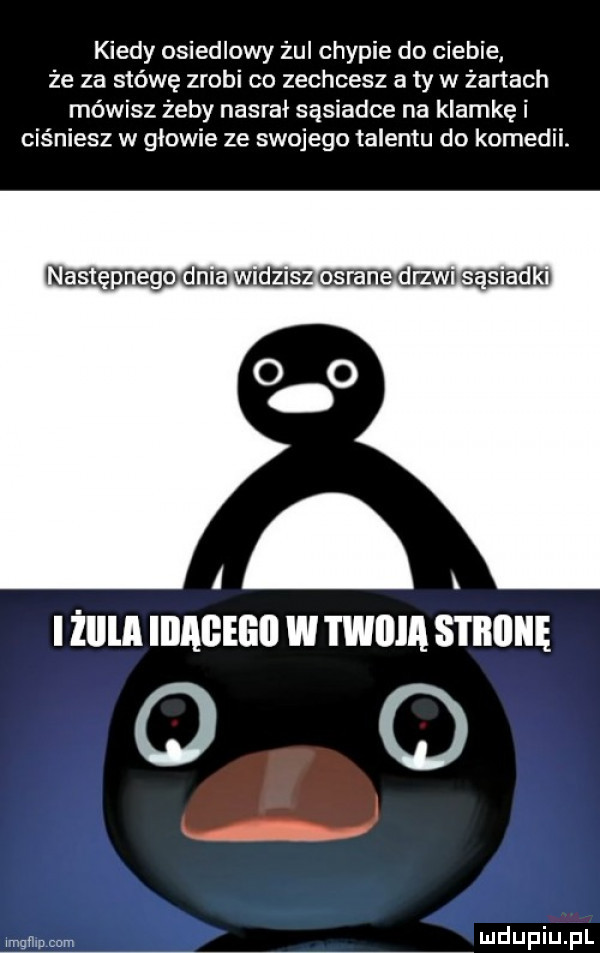 kiedy osiedlowy żui chapie do ciebie że za stówę zrobi co zechcesz a ty w żonach mówisz żeby nasrał sąsiadce na klamkę i ciśniesz w głowie ze swojego talentu do komedii. astę nago dela idris w x i żllla ibageeii w twiiia sthiiiię o o wma mm