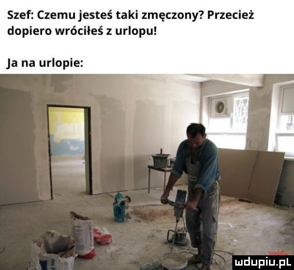 szef czemu jesteś taki zmęczony przecież dopiero wróciłeś z urlopu ja na urlopie i e