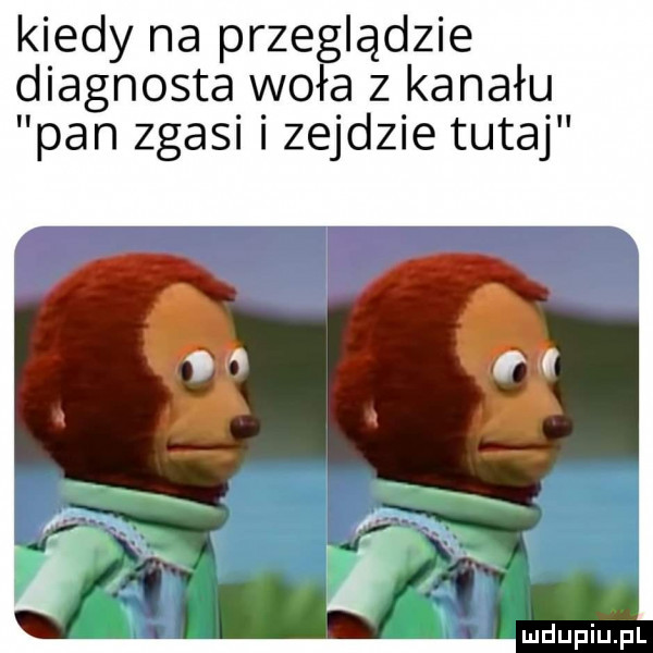 kiedy na przeglądzie diagnosta woła z kanału pan zgasi i zejdzie tutaj