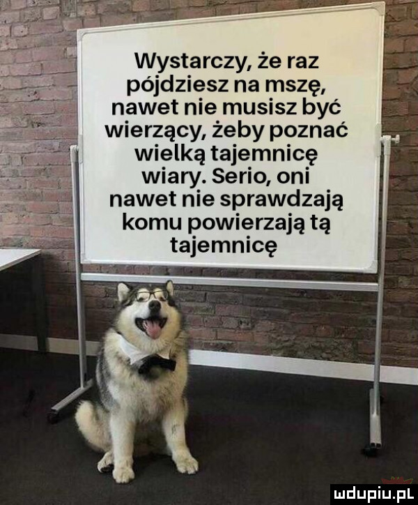 wystarczy że raz pójdziesz na mszę nawet nie musisz być wierzący żeby poznać wielką tajemnicę wiary. serio oni nawet nie sprawdzają komu powierzają tą tajemnicę i