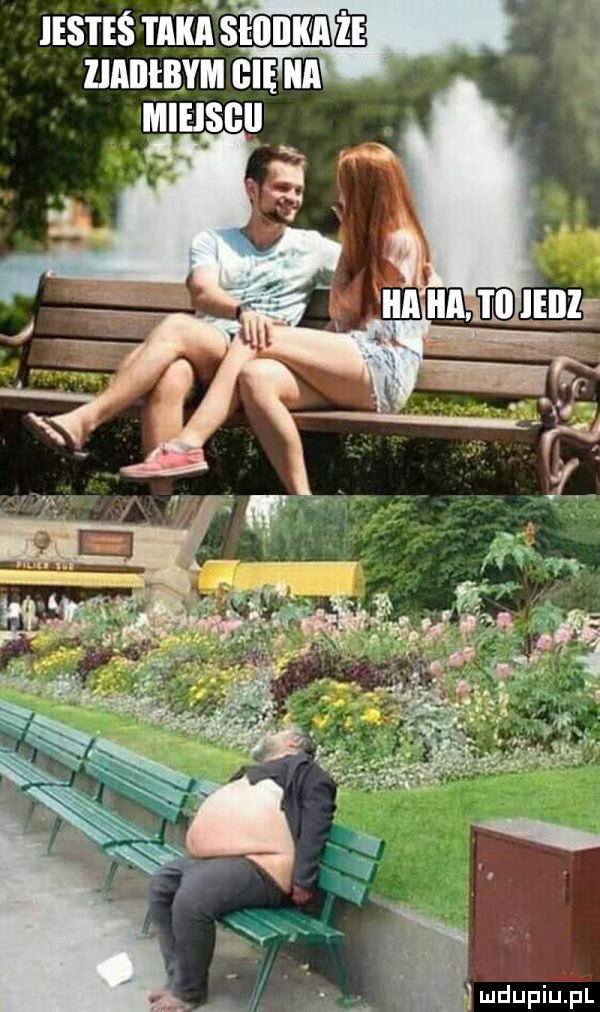 jesteś maiswnlm c zmnmm ehm
