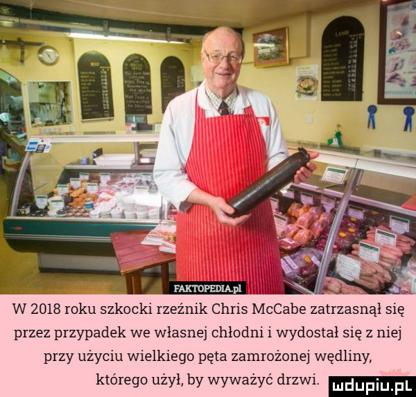 faktdpedląp w      roku szkocki rzeźnik chris mccabe zatrzasnąl się przez przypadek we własnej chłodni   wydostał się z niej przy użyciu wielkiego pęta zamrożonej wędliny którego użył by wywaiyé drzwi