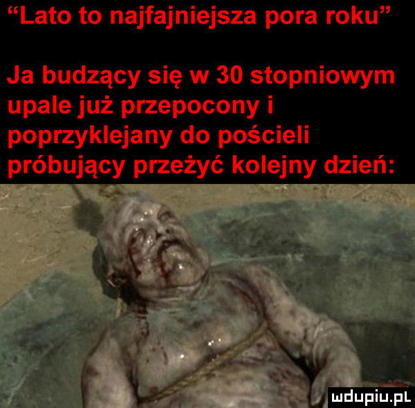 late to najfajniejsza pora roku ja budzący się w    stopniowym upale już przepocony i poprzyklejany do pościeli próbujący przeżyć kolejny dzień