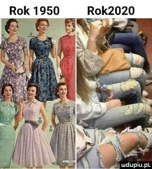 t rok      rok