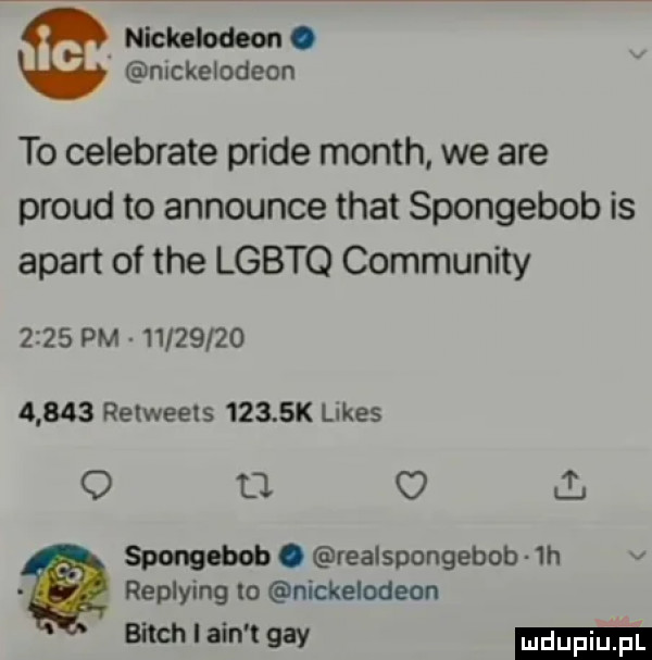 nickelodeon. mckełodeon to celebrate pride month we are proud to announce trat spongebob is apart of tee lgbtq community      pm               retweels      k ltkes o a o i spongebob. realspongebob  h replying to nickelodeon bitch i ain t gay