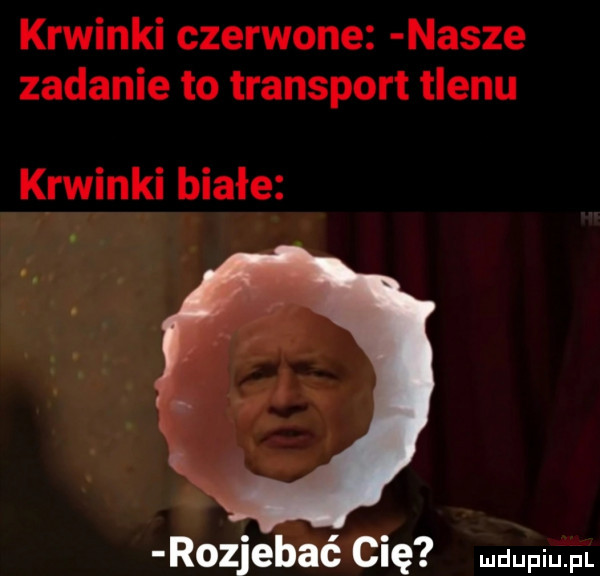 krwinki czerwone nasze zadanie to transport tlenu krwinki białe rozjebać cię