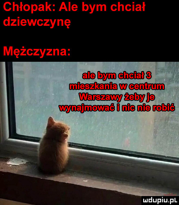 mdupiuif