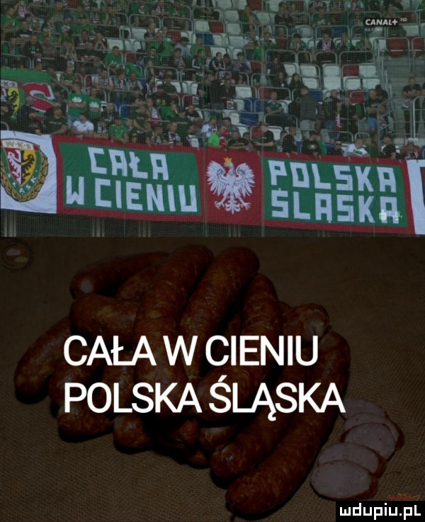 cała w qieniu polska sląska