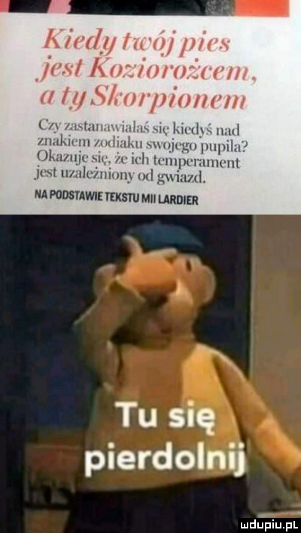 iw y in uli rx mi vii lal uart ll i i i s rm pam m t ln v s l xig łxil bś null ixil lal nul m mąk gn pupilu imię   irhlman mmont ju lwnlużuiuny ud g iami. na podstawie tekstu mii lardier tu się pierdolnij deipiupl