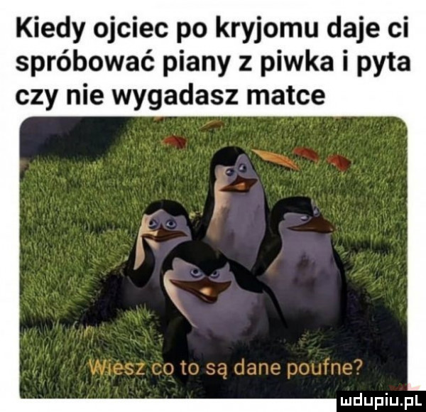 kiedy ojciec po kryjomu daje ci spróbować piany z piwka i pyta czy nie wygadasz matce