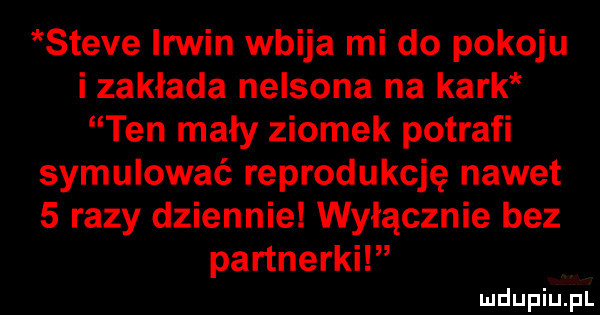 steve irmin wbija mi do pokoju i zakłada nelsona na kark ten mały ziomek potrafi symulować reprodukcję nawet   razy dziennie wyłącznie bez partnerki