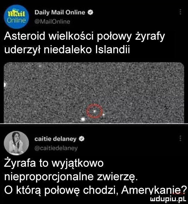 dallymallonllne. online maiionlme asteroid wielkości połowy żyrafy uderzył niedaleko islandii celne delaney. caitiedelaney żyrafa to wyjątkowo nieproporcjonalne zwierzę. o którą połowę chodzi amervlganie f lu uplu p