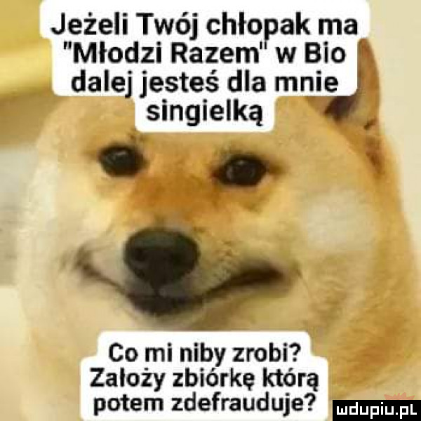 jeżeli twój chłopak ma młodzi razem w bio dalej jesteś dla mniy singielką   co mi niby zrobi zależy zbiórkę którą potem zdefrauduje