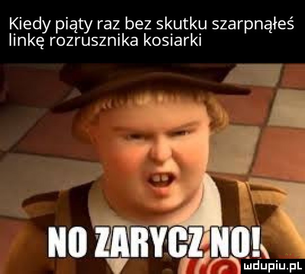 kiedy piąty raz bez skutku szarpnąłeś linkę rozrusznika kosiarki   a iii zabygz i wudu dp ó