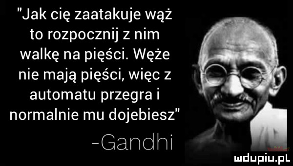 jak cię zaatakuje wąż to rozpocznij z nim walkę na pięści. węże nie mają pięści więc z automatu przegra i normalnie mu dojebiesz. gandhi