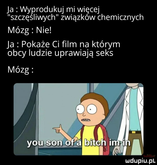 ja wyprodukuj mi więcej szczęśliwych związków chemicznych mózg nie ja pokaże ci film na którym obcy ludzie uprawiają seks mózg