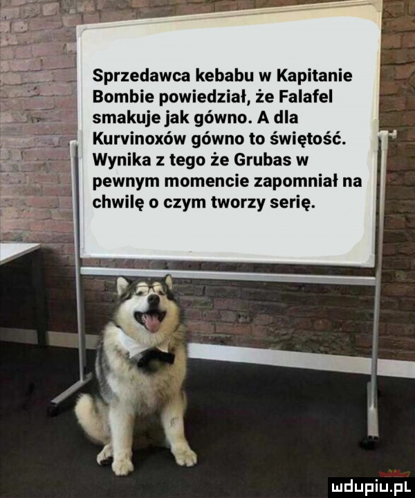 sprzedawca kebabu w kapitanie bombie powiedział że falafel smakuje jak gówno. a dla kurvinoxów gówno to świętość. wynika z tego że grubas w pewnym momencie zapomniał na chwilę o czym tworzy serię