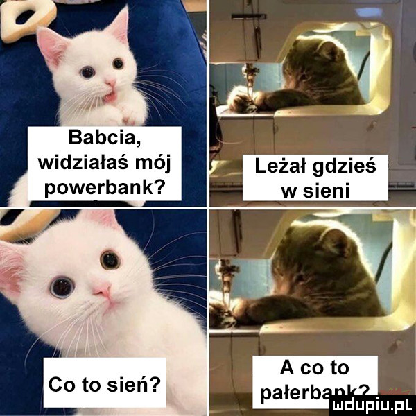 widziałaś mój powerbank